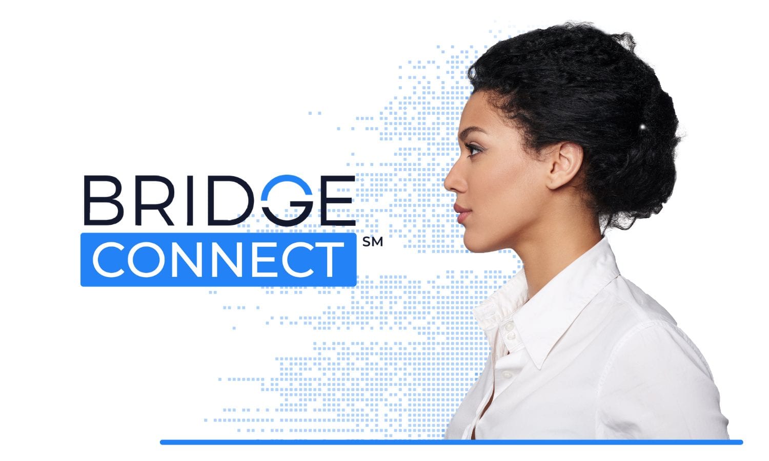 bridge connect