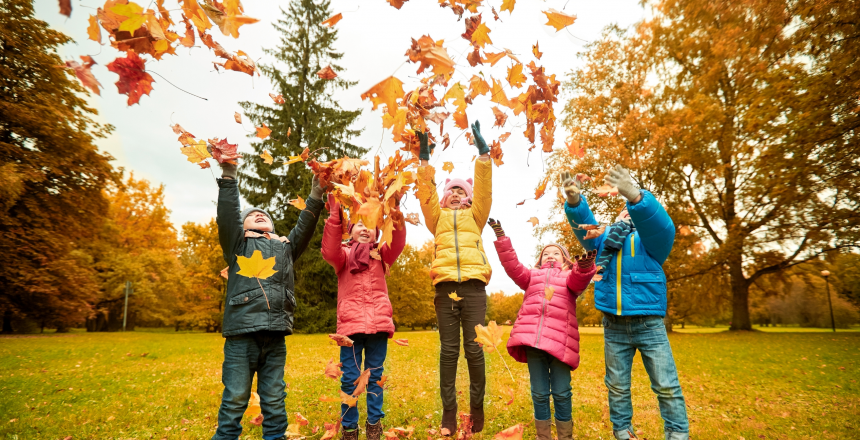 Fall Leaves
