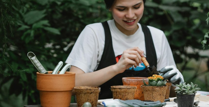 pexels-gary-barnes-6231731